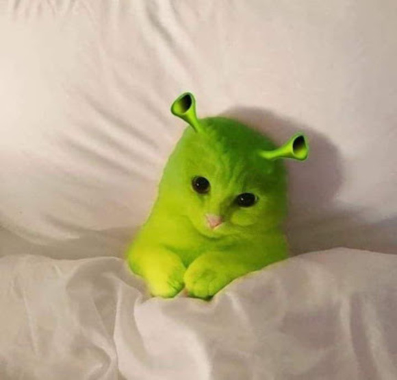lizziemoonchild